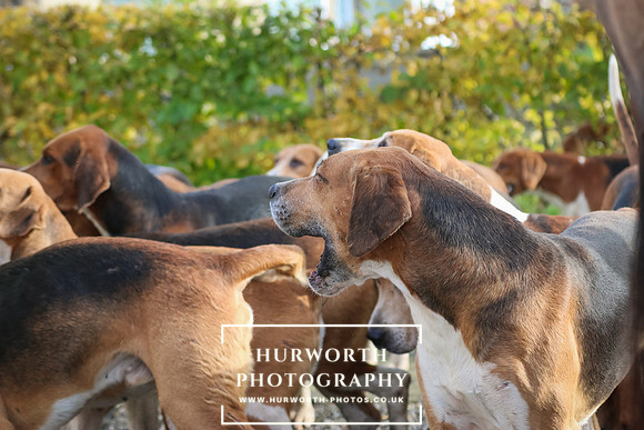 Hurworth Hunt  125