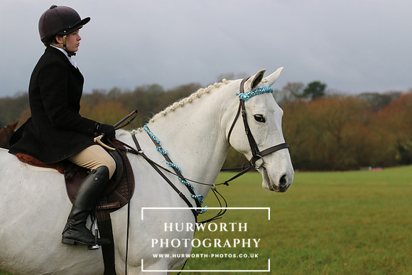 Hurworth Hunt 238