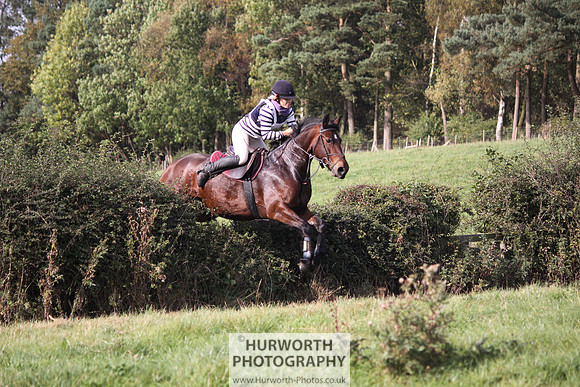 Hurworth Bilsdale Hedge Hop 547
