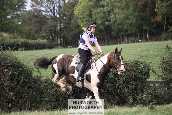 Hurworth Bilsdale Hedge Hop 648
