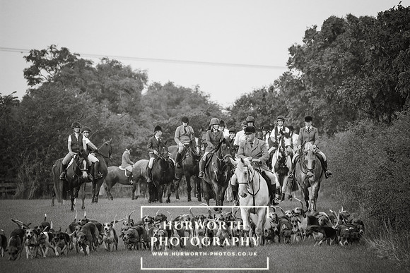 Hurworth Hunt 432