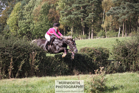 Hurworth Bilsdale Hedge Hop 544
