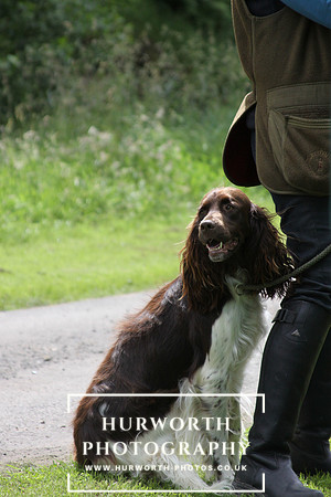 Ladies Shooting 023