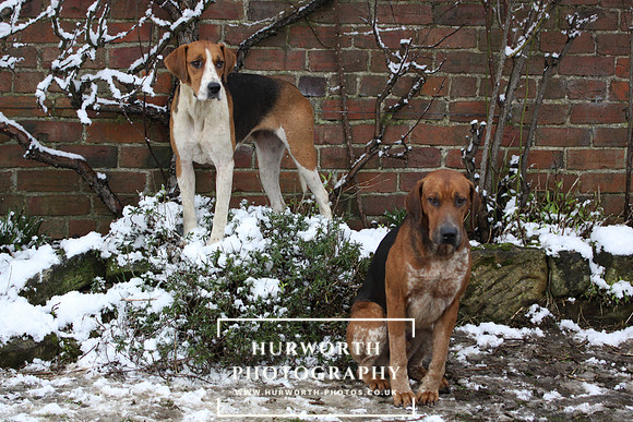 Hurworth 028