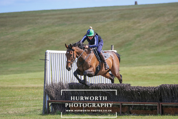 Hurworth Pleasure Ride 290