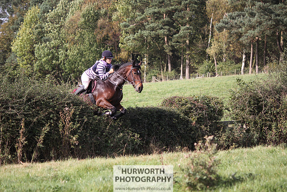 Hurworth Bilsdale Hedge Hop 546