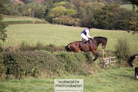 Hurworth Bilsdale Hedge Hop 662