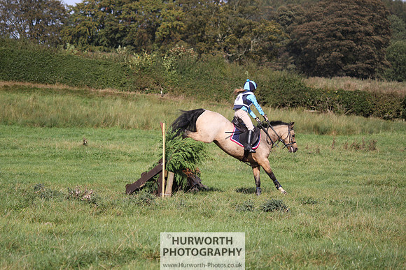 Hurworth Bilsdale Hedge Hop 331