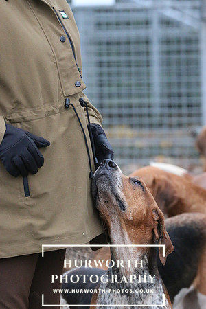 Hurworth Hunt  87