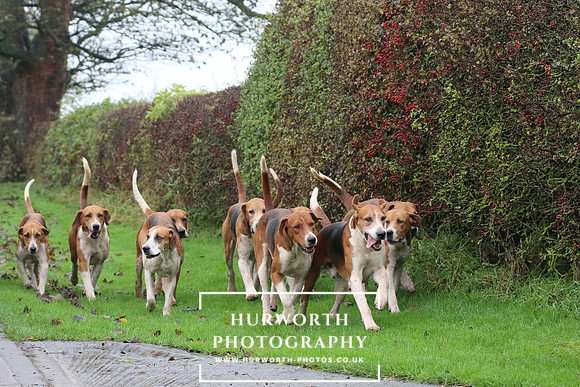 Hurworth Hunt  21