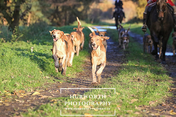 Hurworth Hunt  229