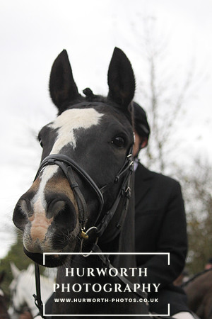Hurworth Hunt 031