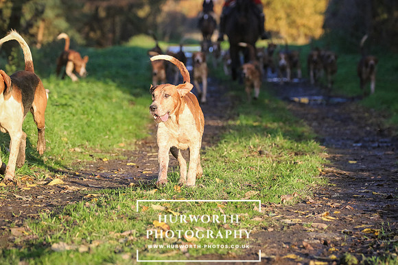 Hurworth Hunt  228