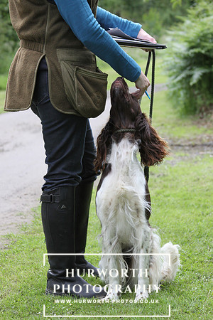 Ladies Shooting 020