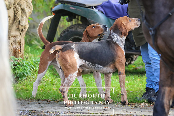 Hurworth Hunt  117