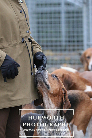Hurworth Hunt  88