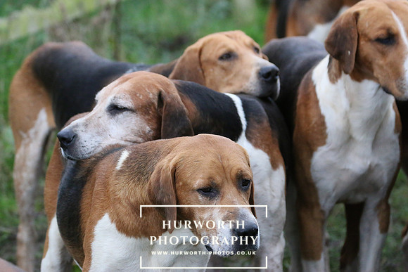 Hurworth Hunt  124