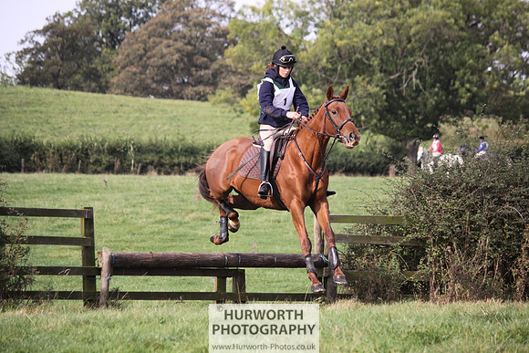 Hurworth Bilsdale Hedge Hop 184