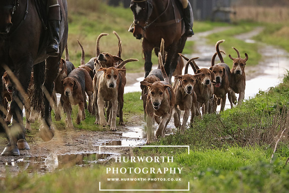 Hurworth Hunt  196
