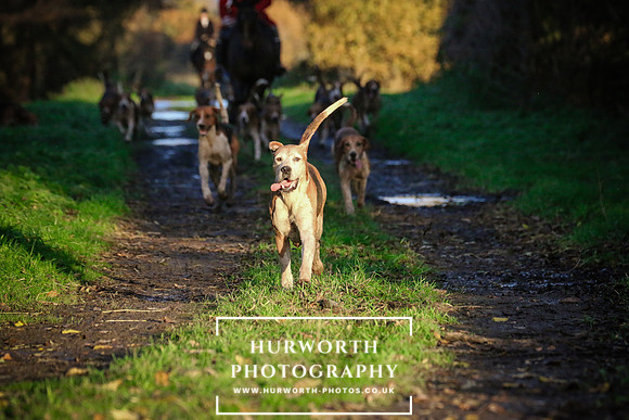 Hurworth Hunt  217