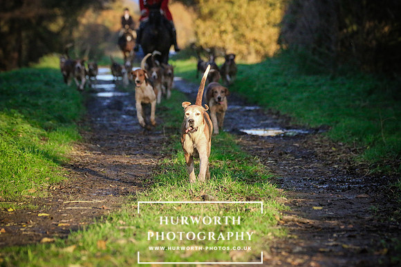 Hurworth Hunt  214
