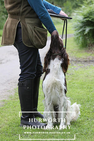 Ladies Shooting 019