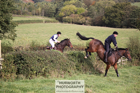 Hurworth Bilsdale Hedge Hop 659
