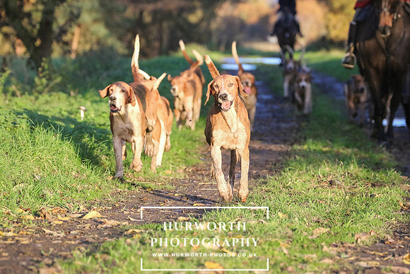 Hurworth Hunt  230