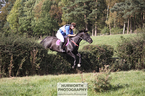 Hurworth Bilsdale Hedge Hop 541