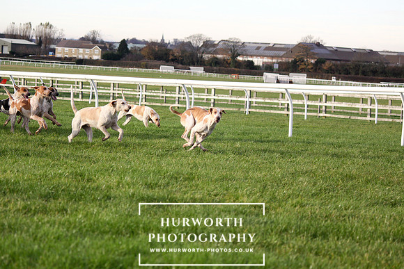 Countryside Raceday 131