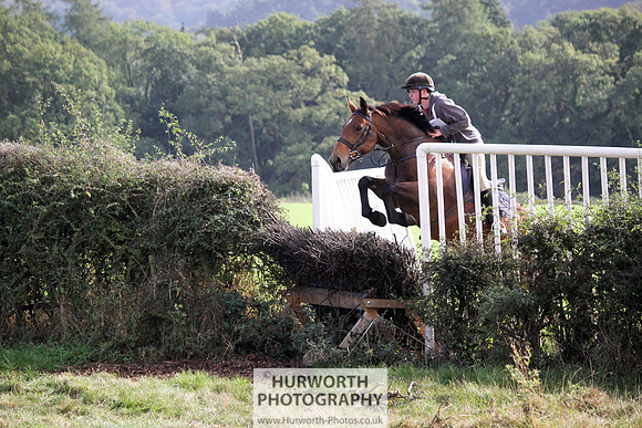 Hurworth Bilsdale Hedge Hop 574