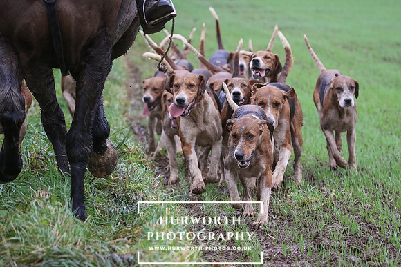 Hurworth Hunt  249