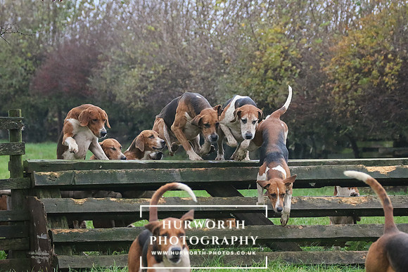 Hurworth Hunt  123