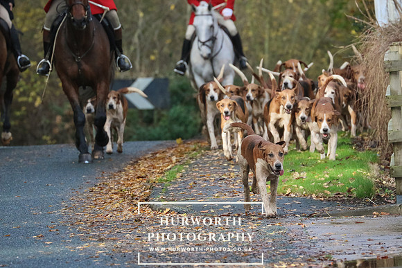 Hurworth Hunt  163