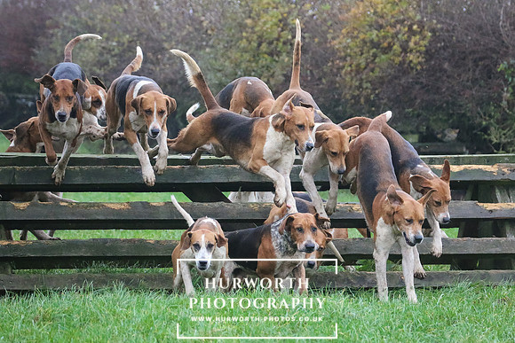 Hurworth Hunt  120