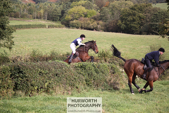 Hurworth Bilsdale Hedge Hop 660