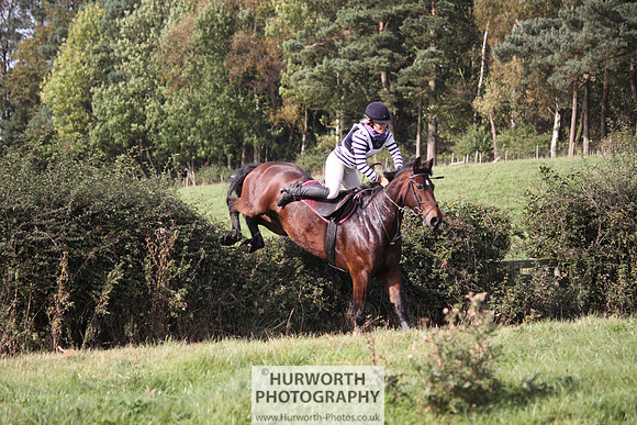 Hurworth Bilsdale Hedge Hop 548