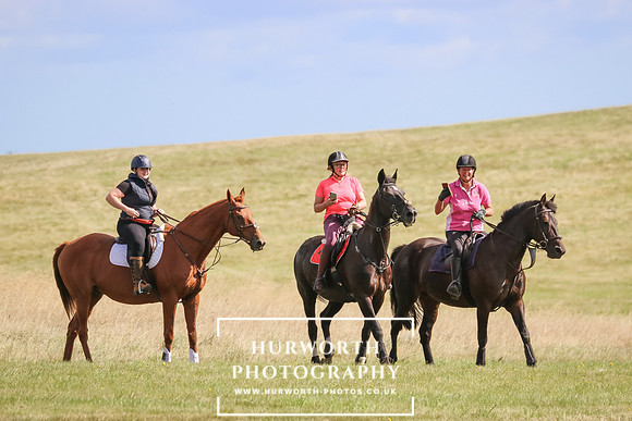 Hurworth Pleasure Ride 205