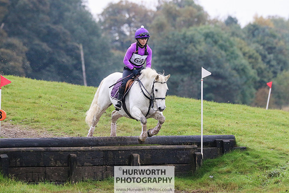 Hurworth Hunter Trial 134