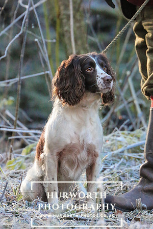 Studley Royal Ladies Shoot 057