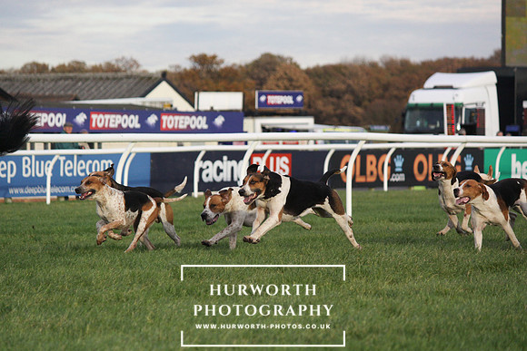 Countryside Raceday 159