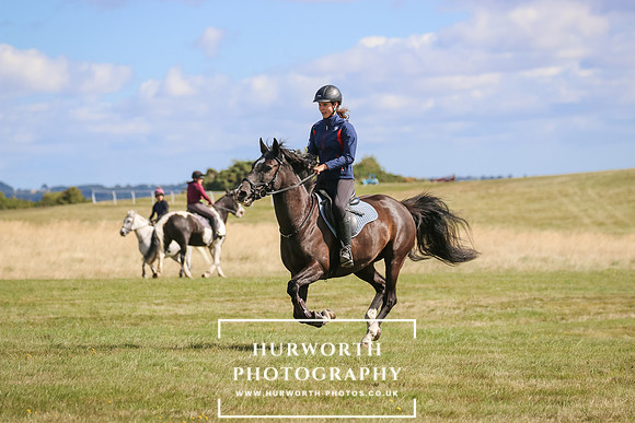 Hurworth Pleasure Ride 130