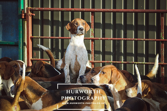 Hurworth Hunt 64