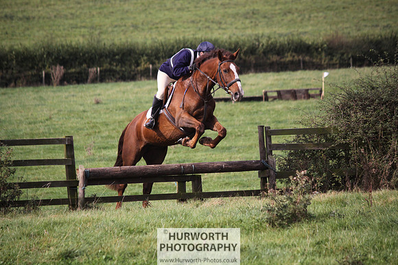 Hurworth Bilsdale Hedge Hop 166