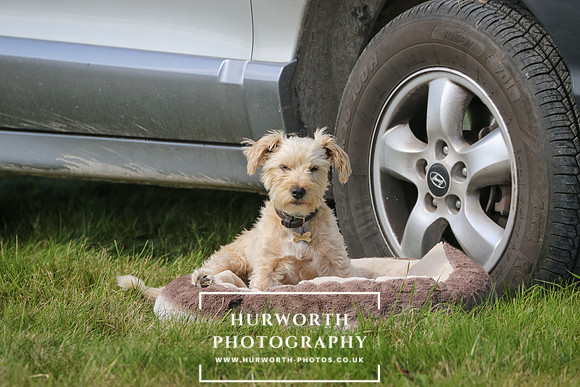 Hurworth Pleasure Ride 363