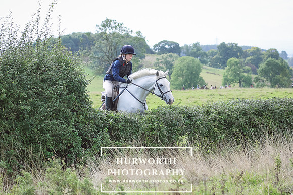 Hurworth Hunt 20