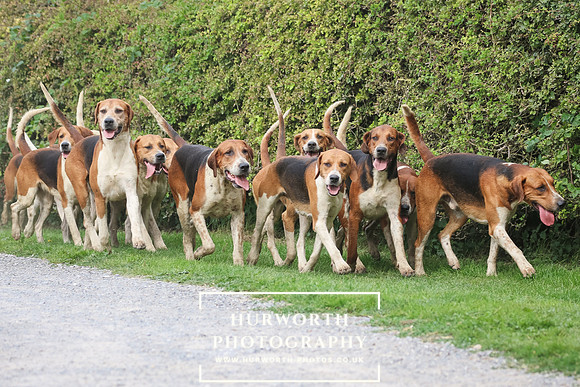 Hurworth Hunt 326