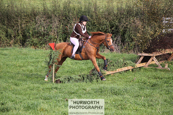 Hurworth Bilsdale Hedge Hop 033