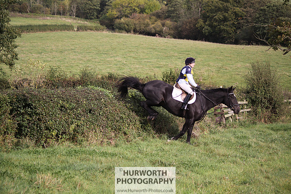 Hurworth Bilsdale Hedge Hop 679