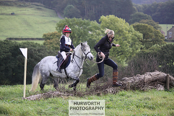 Hurworth Bilsdale Hedge Hop 011